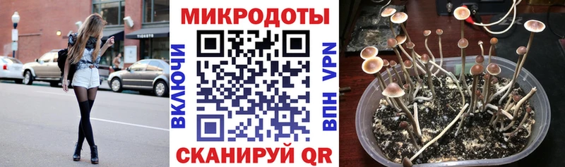 где продают наркотики  Луза  блэк спрут вход  Псилоцибиновые грибы прущие грибы 